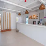 Aloe (adults Only) 2*